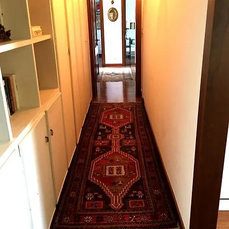 Buddhist Lion Apartment